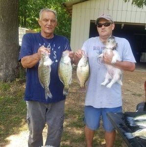 Meet your Posher, Ardeth